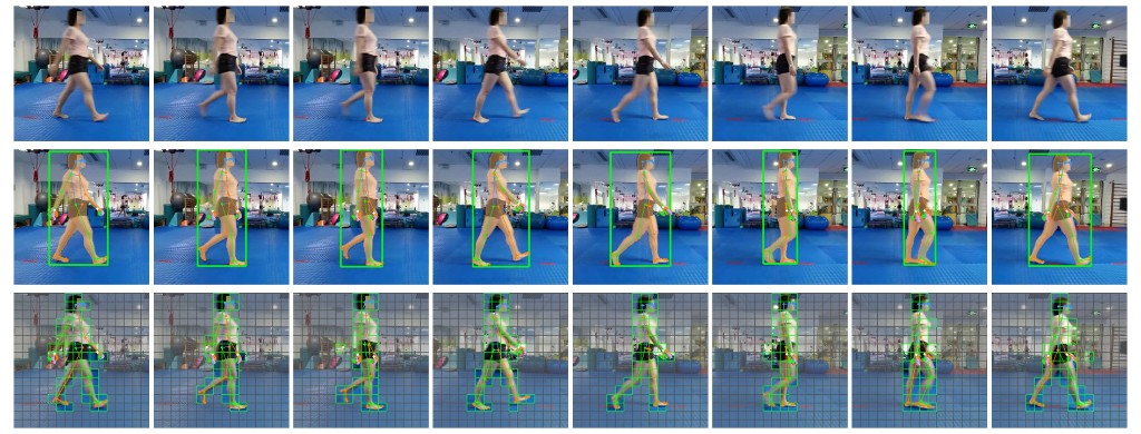 CGV annotation example: raw frames, bounding boxes with keypoints, and mask-guided pruning across a gait cycle