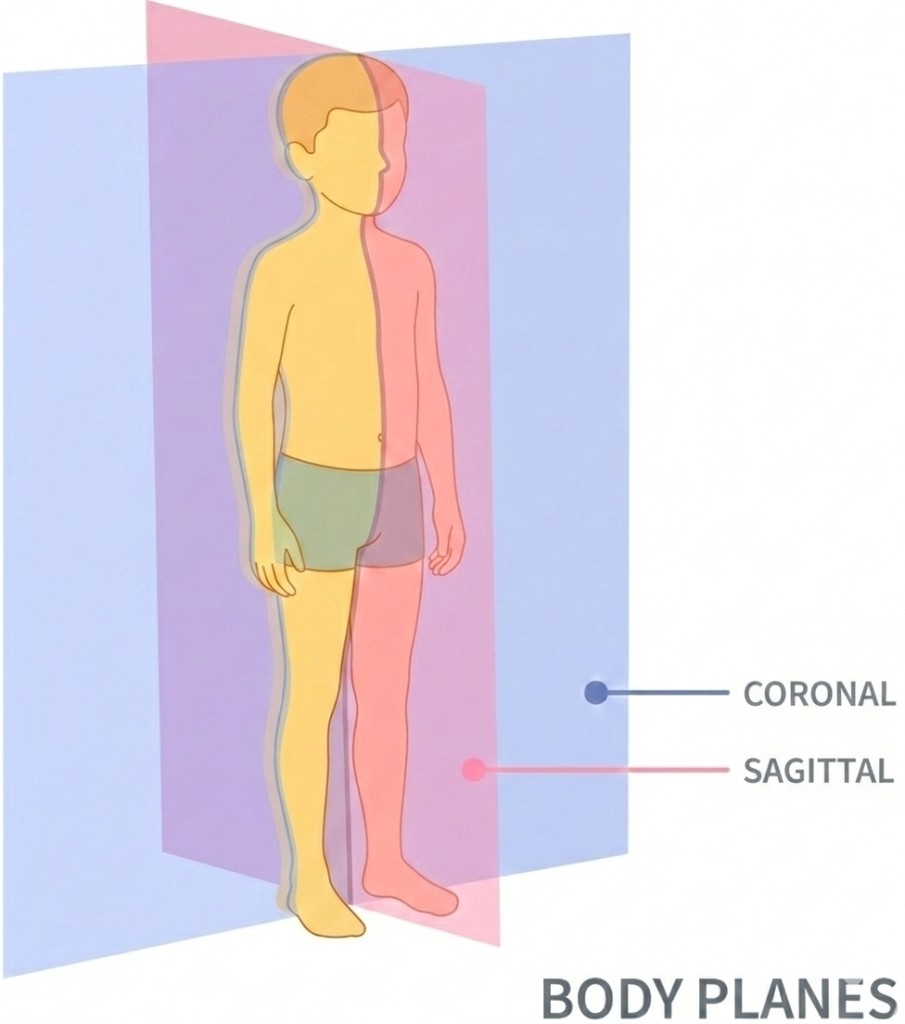 Child body planes: coronal and sagittal