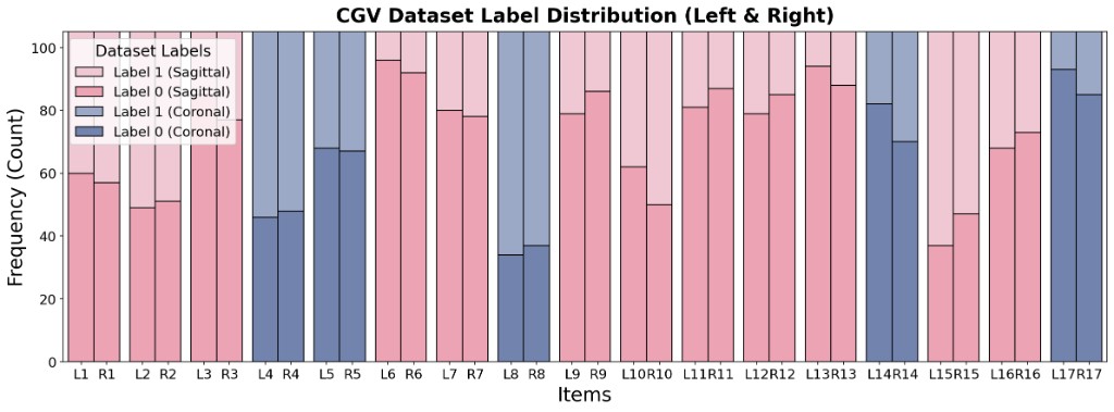 CGV dataset label distribution across left and right limbs